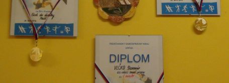 Diplomy a medajle