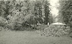 Altánok, 1968