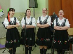 program (Lipka)