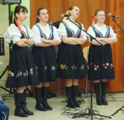 program (Lipka)