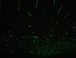 laserová show