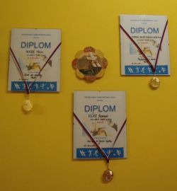 Diplomy a medajle