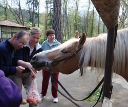 Návšteva klientov DSS DEMY Trenčín